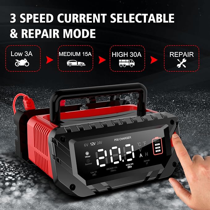 30 Amp Lithium Battery Charger, 6V/12V/24V Lifepo4, Lead-Acid Portable Car - Image 3
